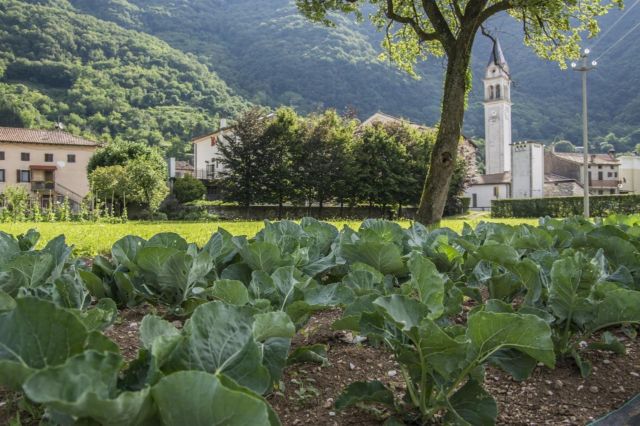 Locanda Solagna Quero Eksteriør bilde