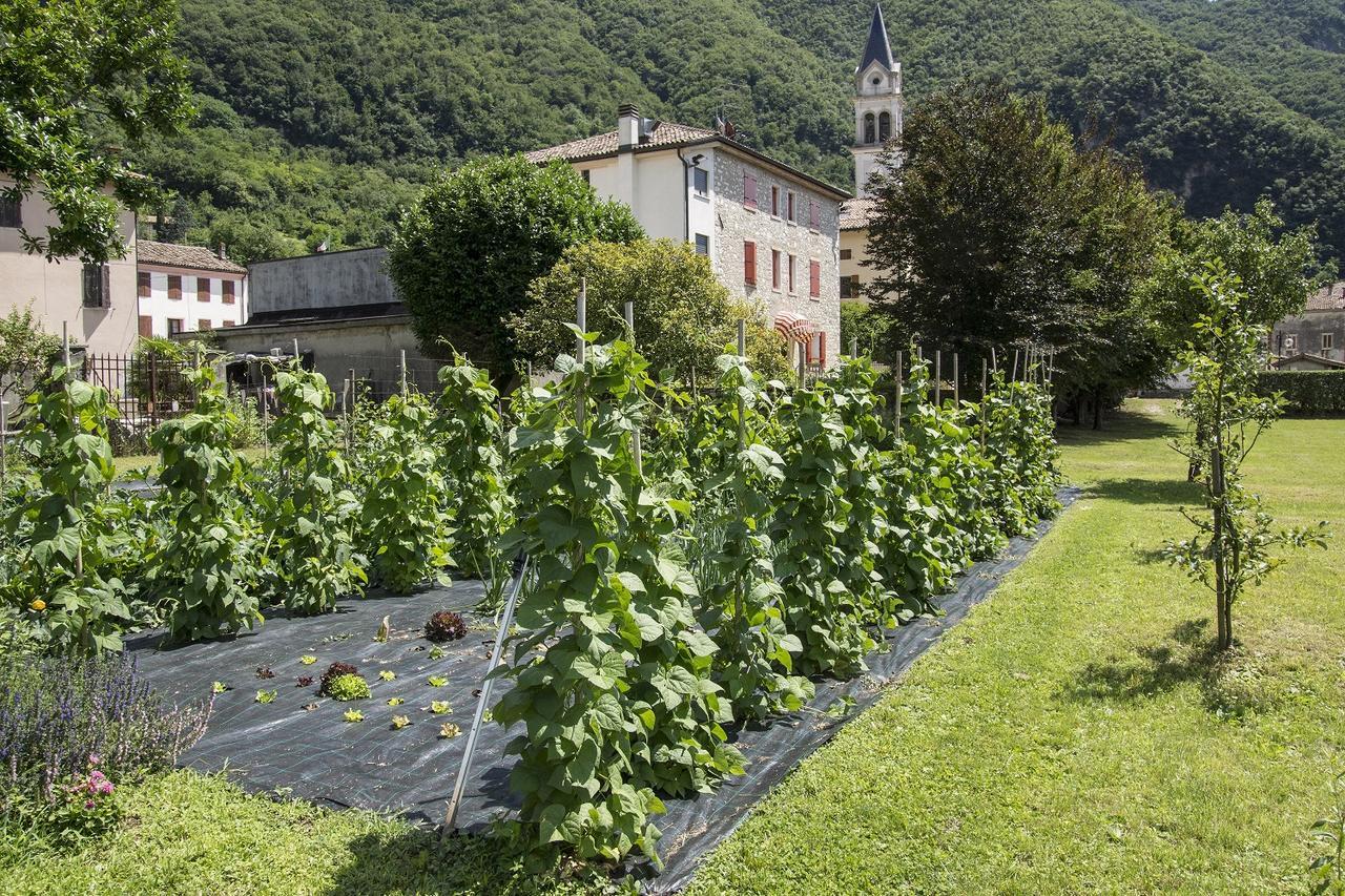 Locanda Solagna Quero Eksteriør bilde